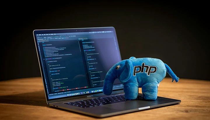 Back End Development